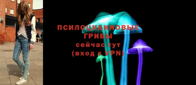 Псилоцибиновые грибы Magic Shrooms  закладка  Лаишево 